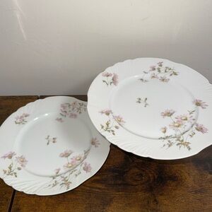 2 - J. Pouyat Limoges Porcelain China Plates Haviland Made in France Daisy